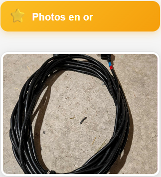 Imprimer un média en or.
