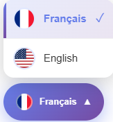 Traduire le panel invité